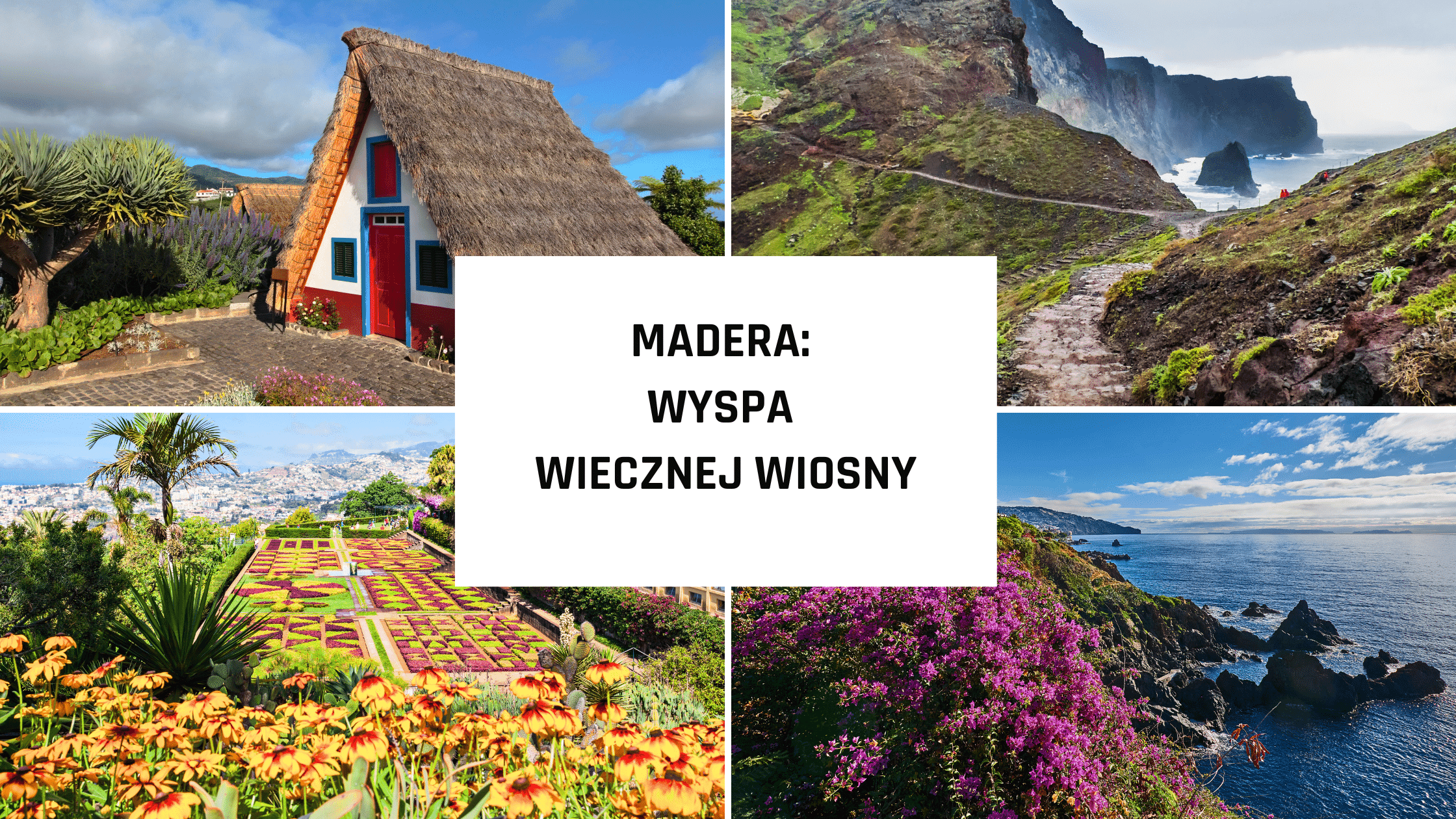 Madera: Wyspa wiecznej wiosny