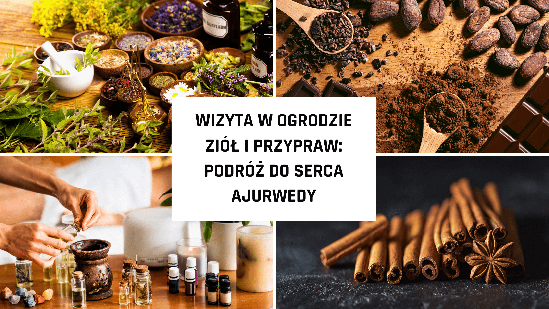 Wizyta w ogrodzie ziół i przypraw – podróż do serca ajurwedy