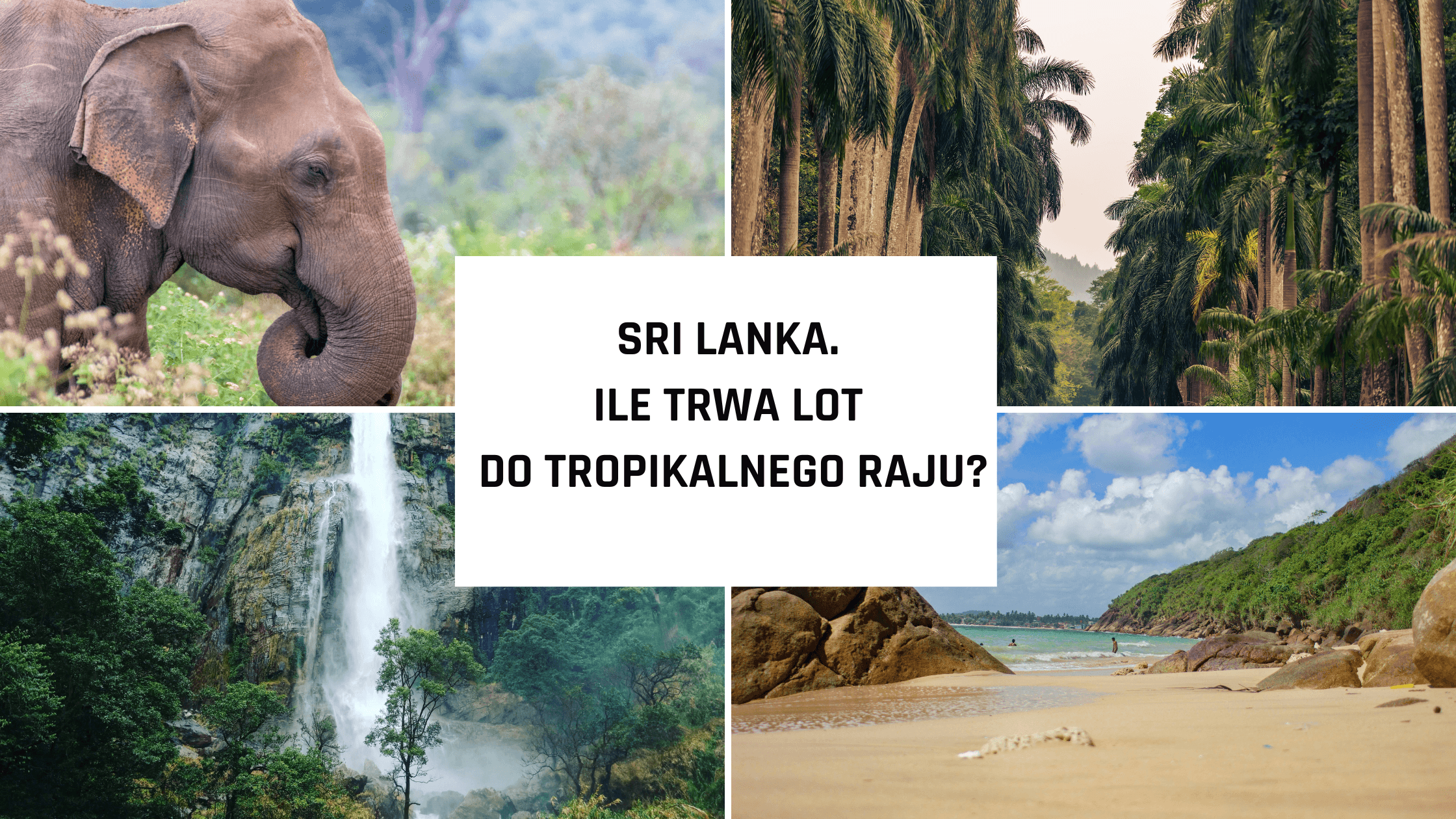 Sri Lanka – ile trwa lot do tropikalnego raju?