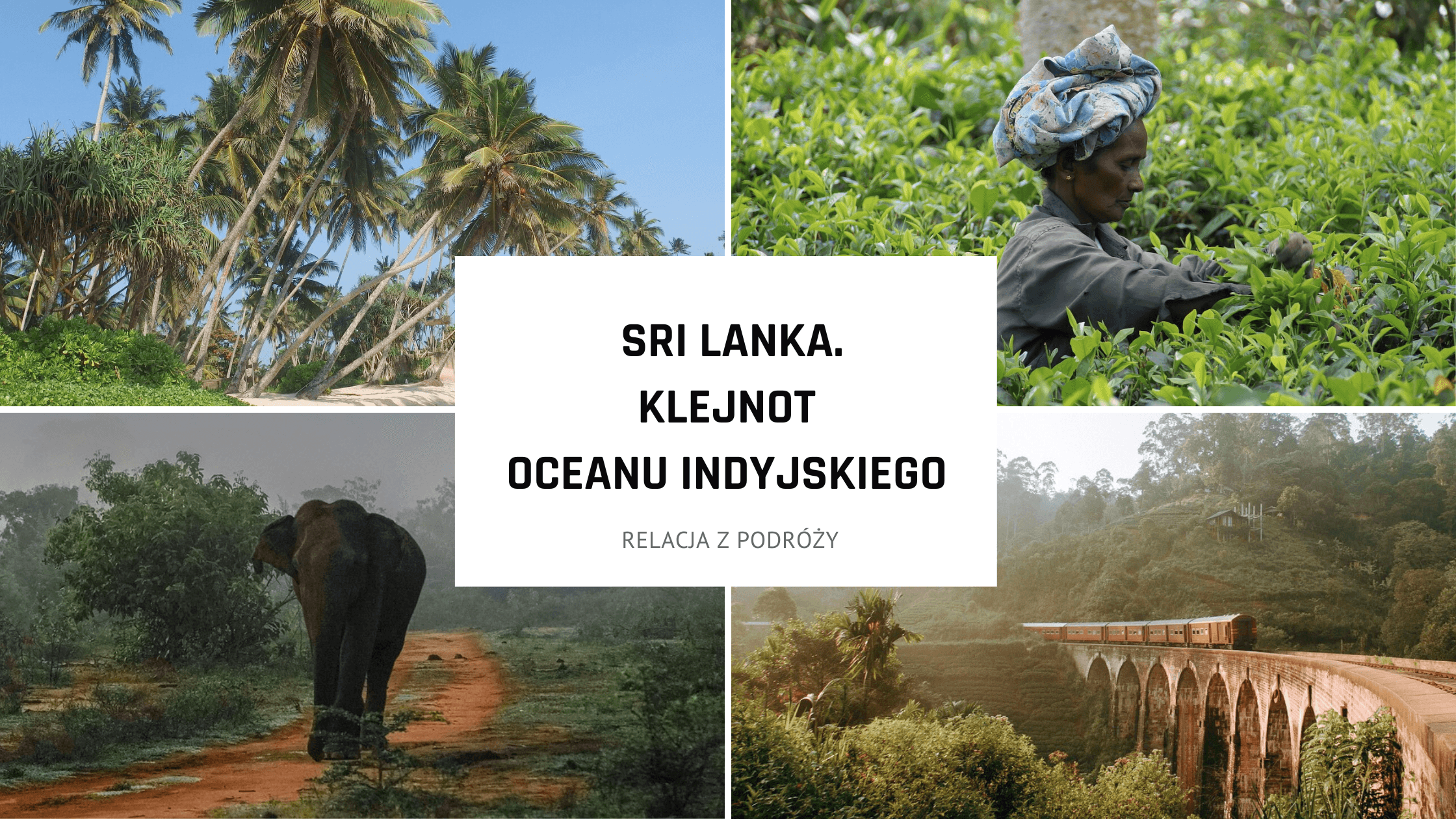 Sri Lanka – klejnot Oceanu Indyjskiego. Najpiękniejsze atrakcje