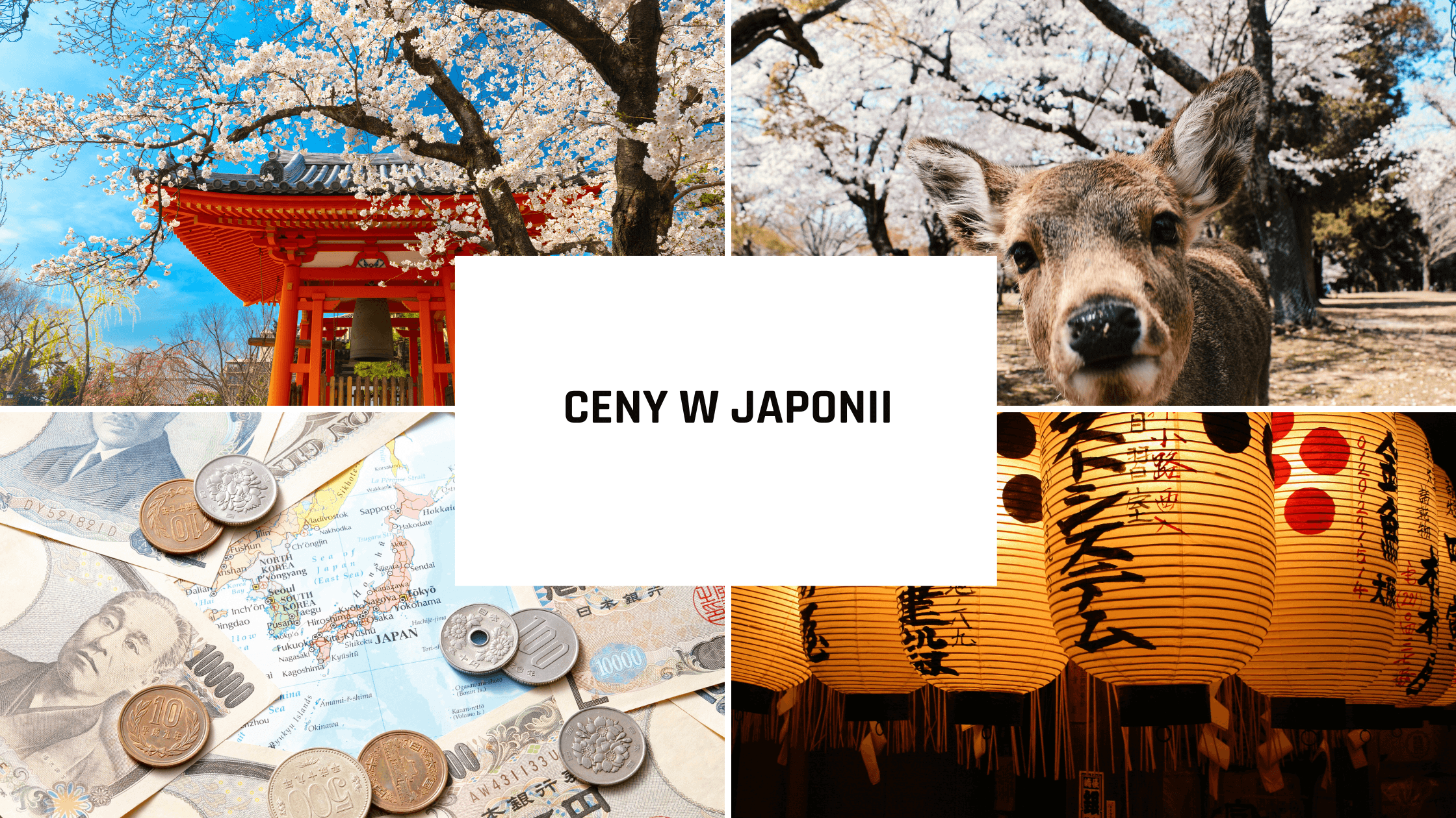 Japonia - ceny. Ile kosztuje podróż do Kraju Kwitnącej Wiśni?