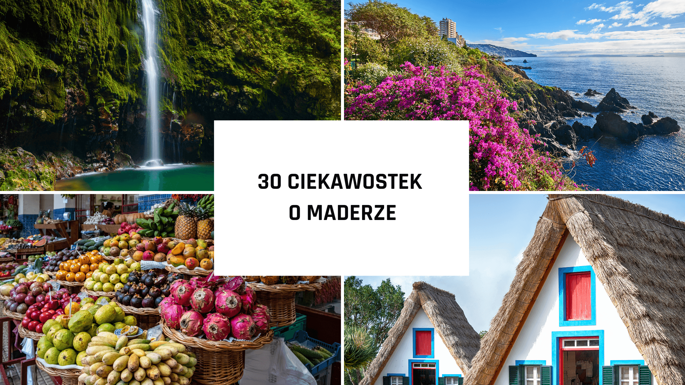 30 ciekawostek o Maderze