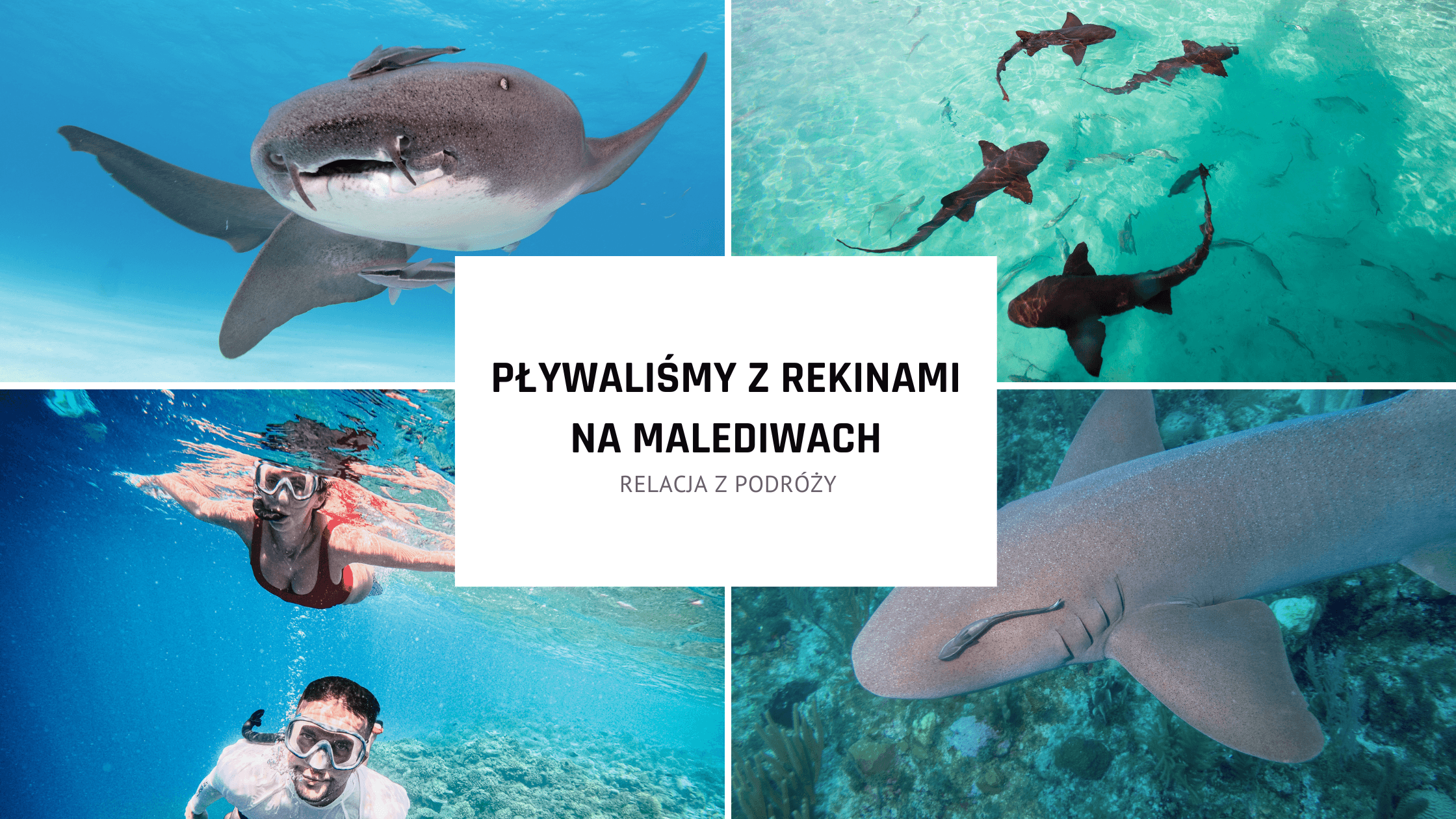 Pływaliśmy z rekinami na Malediwach