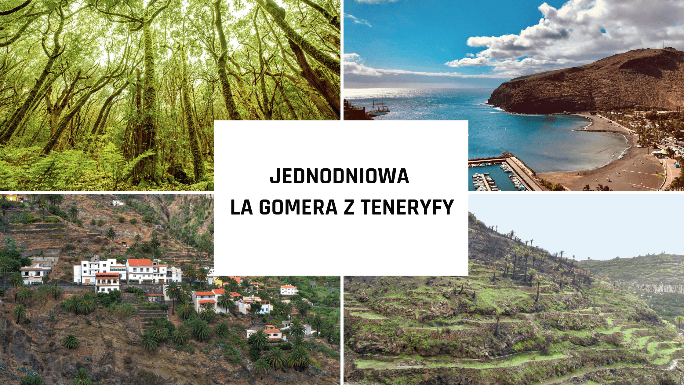 Jednodniowa La Gomera z Teneryfy