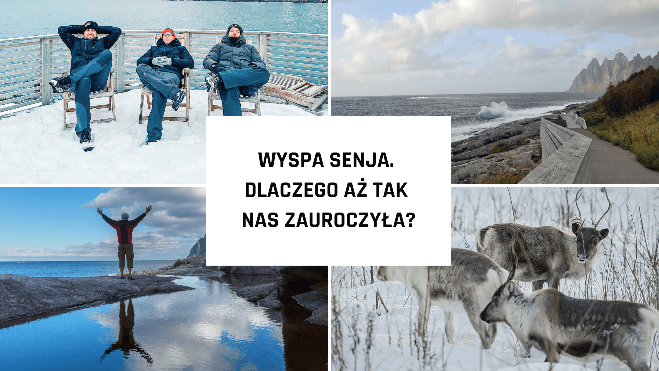 Wyspa Senja w Norwegii. Dlaczego aż tak nas zauroczyła?