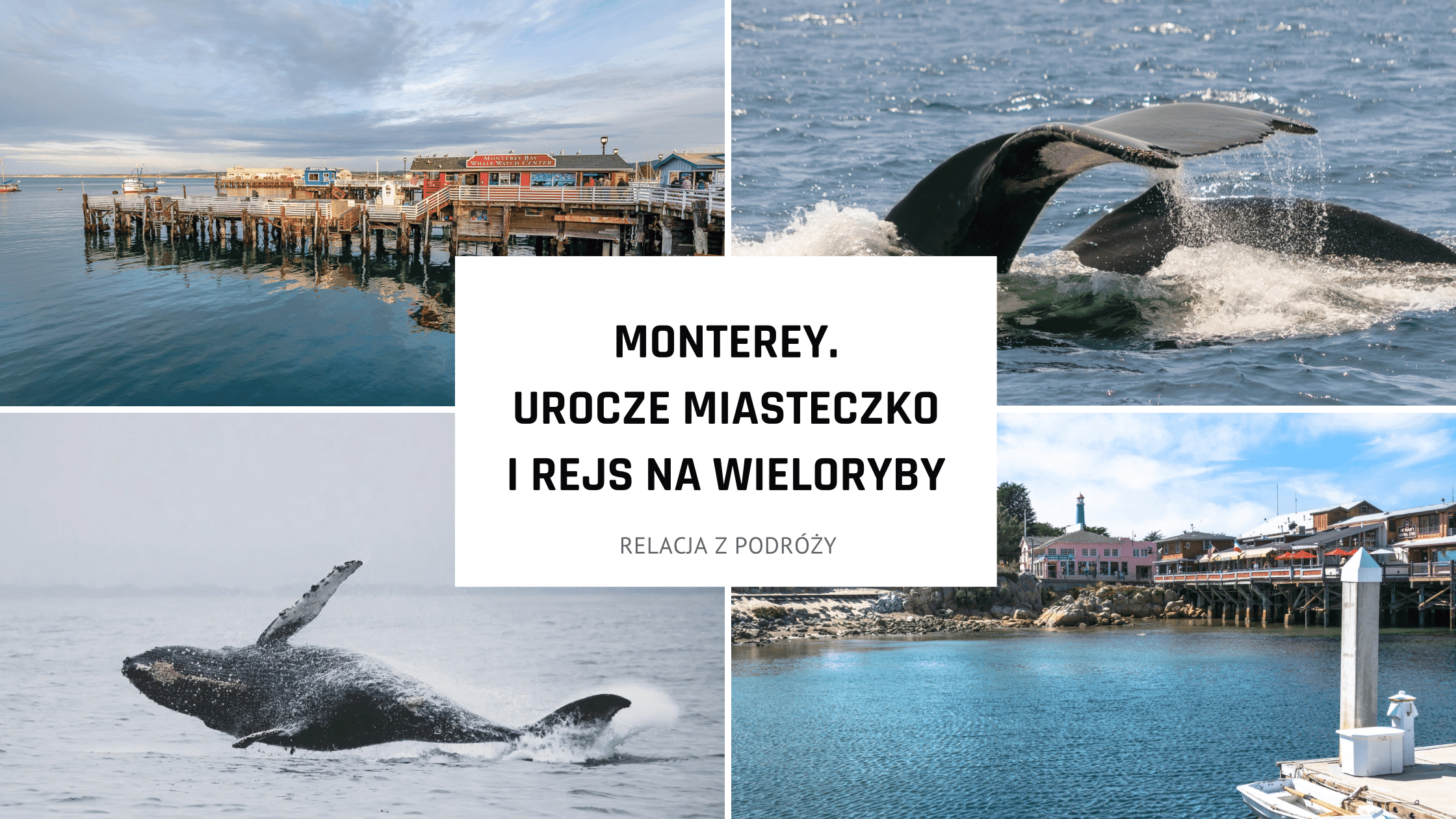 Monterey. Urocze miasteczko Kalifornii i rejs na obserwację wielorybów