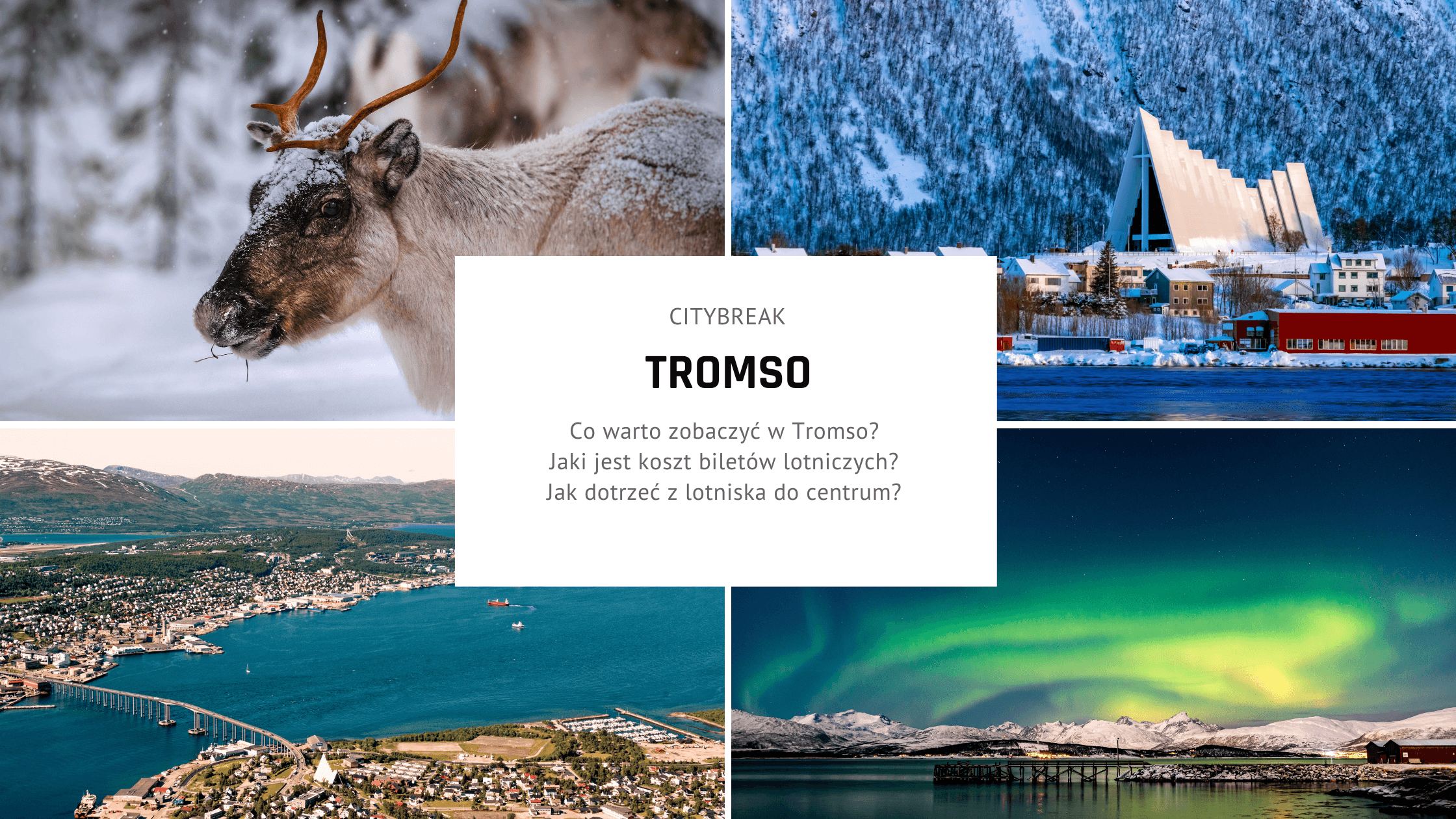 City Break w Tromsø - plan zwiedzania na idealny weekend