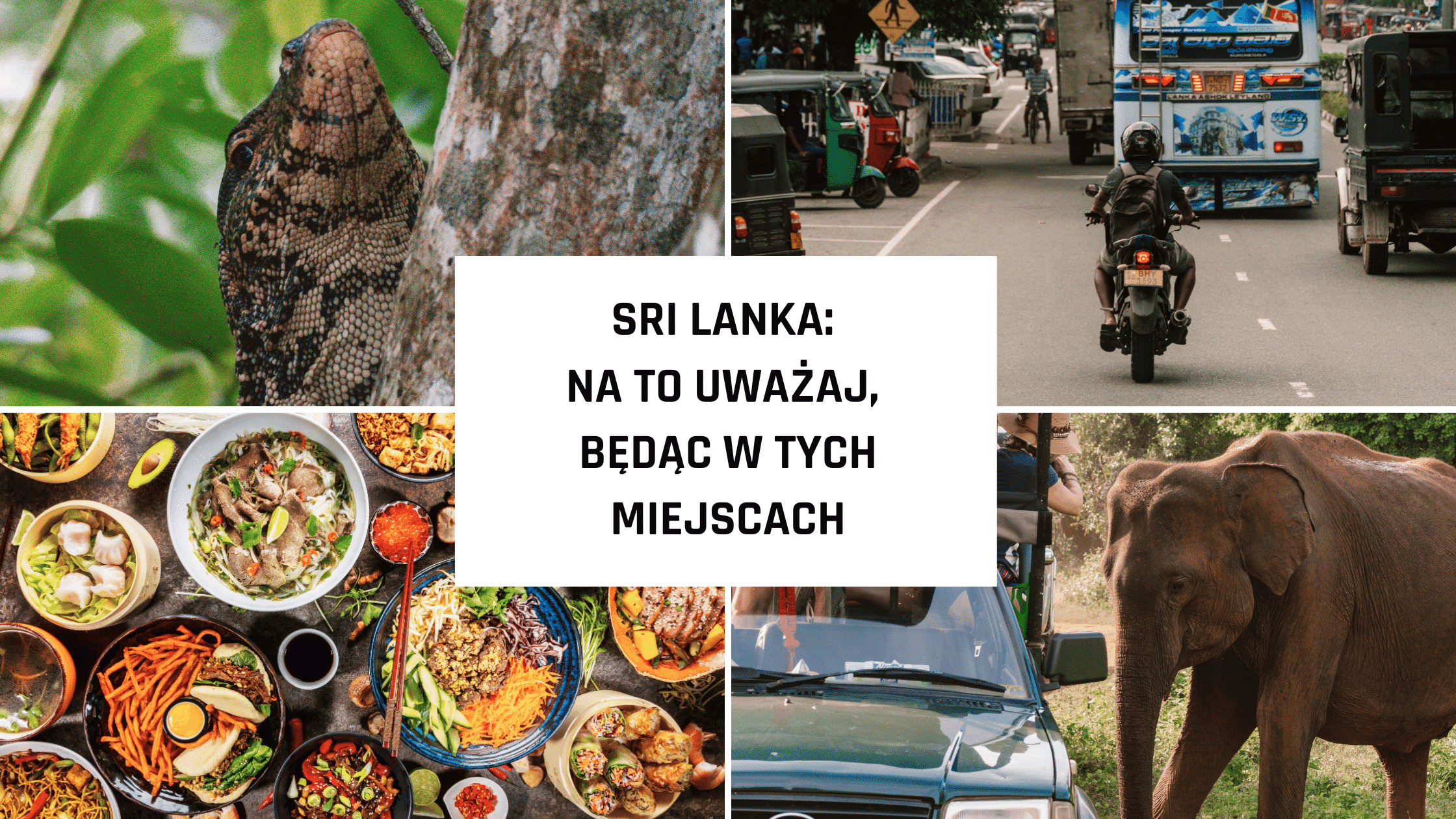Sri Lanka bezpieczeństwo – na co uważać i czego unikać?
