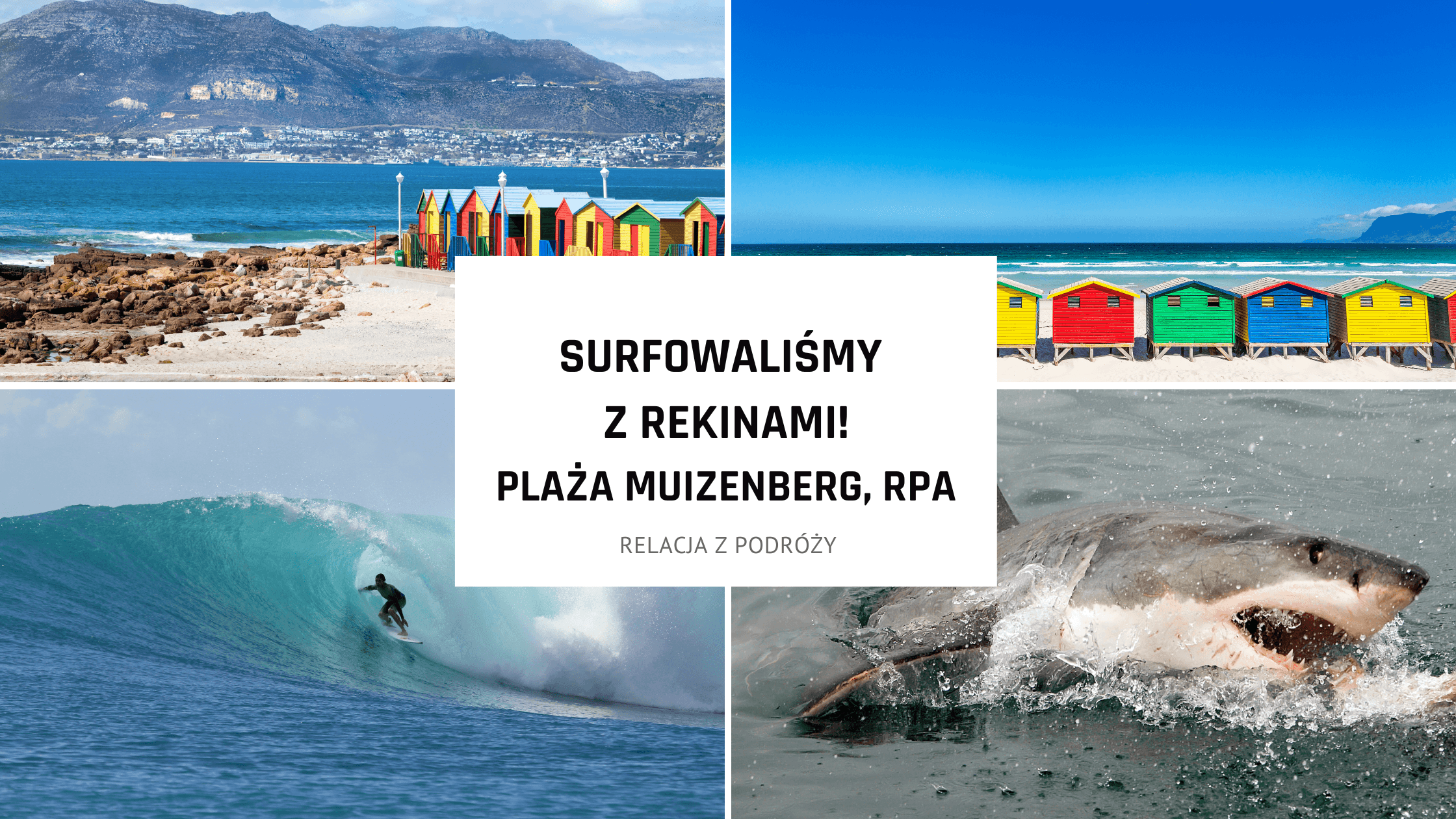 Surfowaliśmy z rekinami! – Plaża Muizenberg, RPA