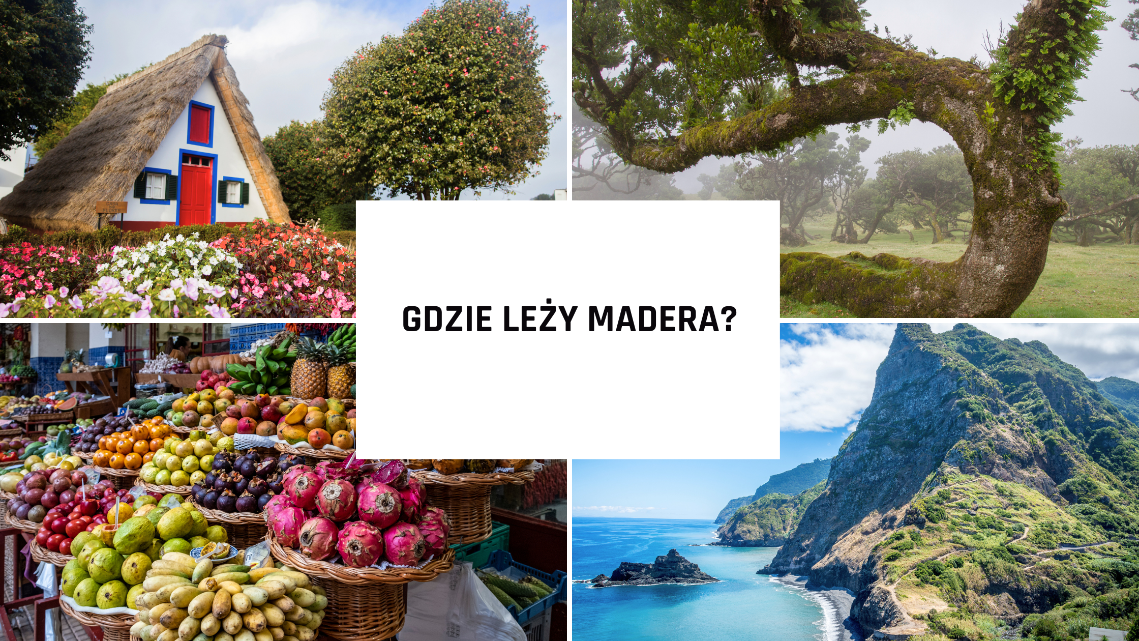 Gdzie leży Madera? Wyspa wiecznej wiosny i raj na Atlantyku