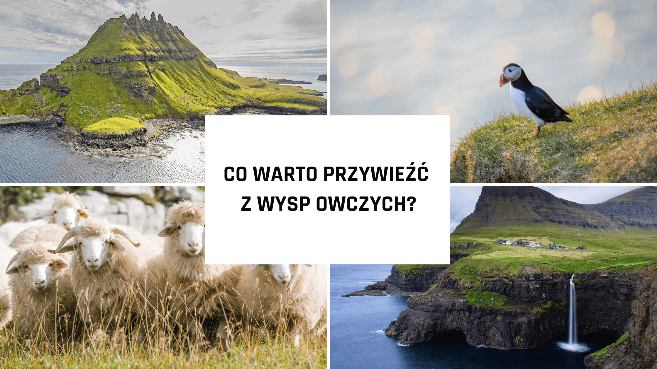 Co warto kupić i przywieźć z Wysp Owczych?