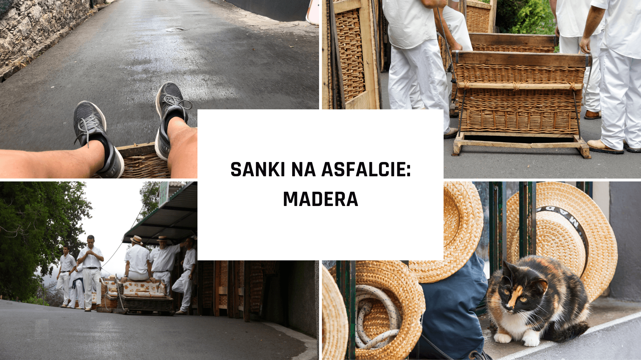 Sanki na asfalcie: Madera