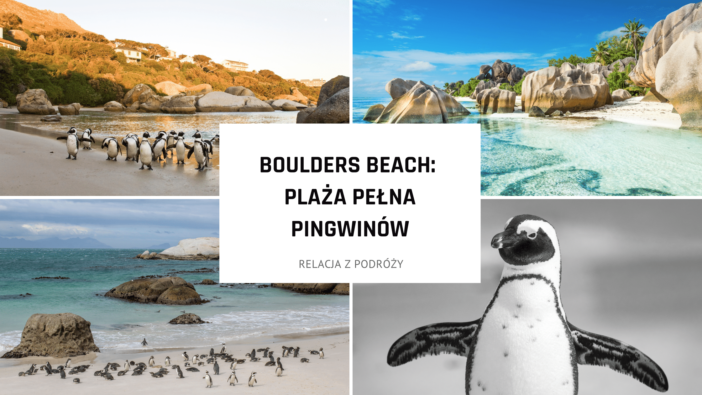 Boulders Beach – plaża pełna pingwinów